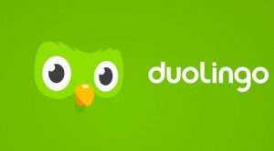 Можно ли выучить иностранный язык с помощью программы Duolingo