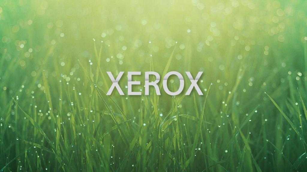xerox phaser 3020 отзывы