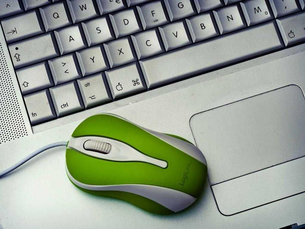 Мышь и клавиатура компьютера
