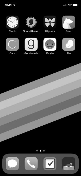 Чёрно-белый экран iPhone