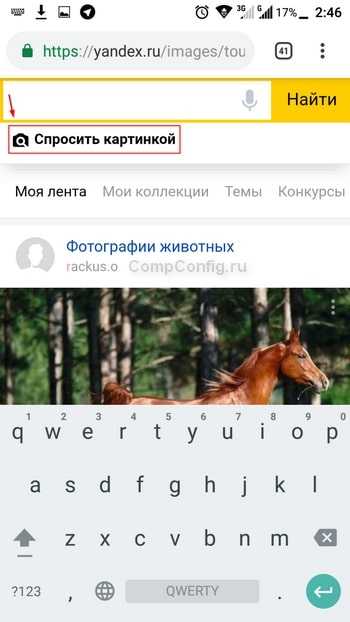 Яндекс поиск по картинке с мобильного